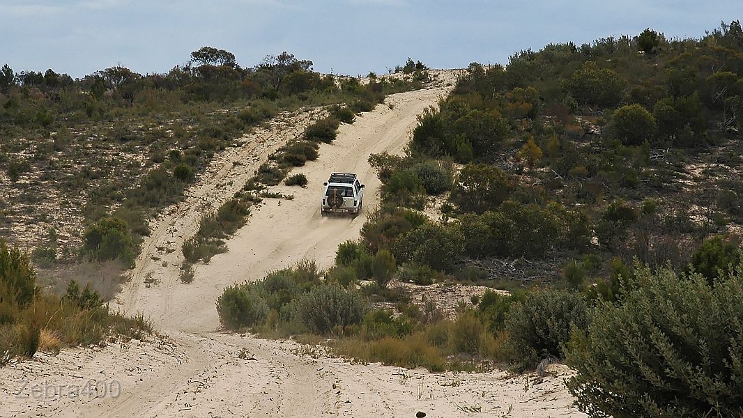 03-DJ takes on a Wyperfeld sand dune.jpg